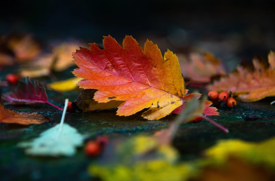 Autumn Reset Weekend